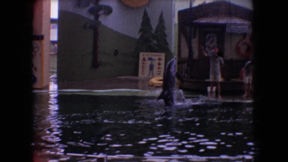 1966 Ohio 8mm frame showing the dolphin near a poolside show structure, with a standing person and a sign visible at the edge of the indoor pool.