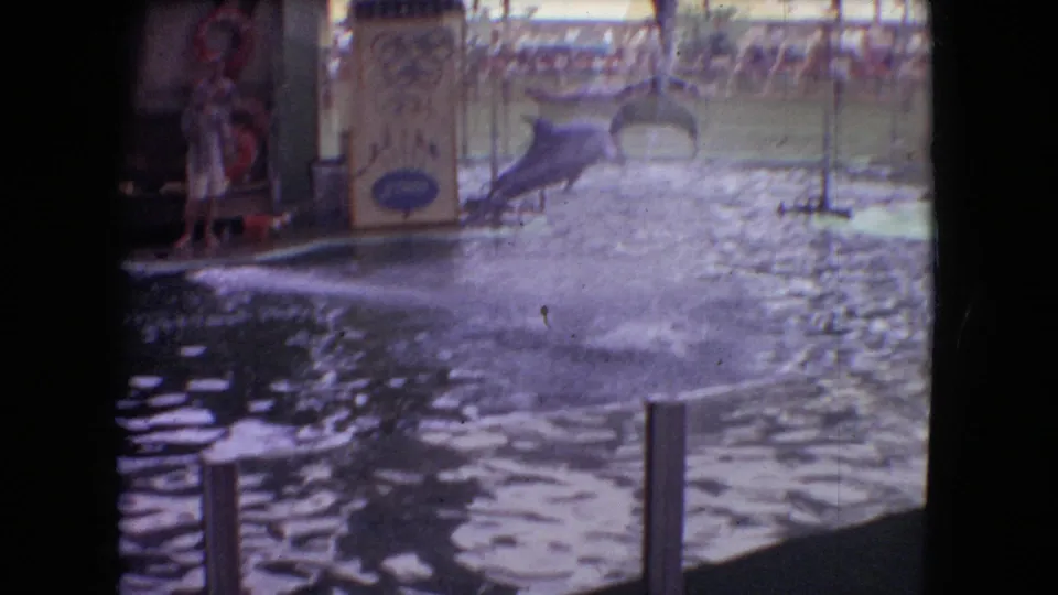 1966 Ohio home-movie frame capturing a dolphin leap during a public aquatic show, with a large splash, poolside sign, and spectators in the background.
