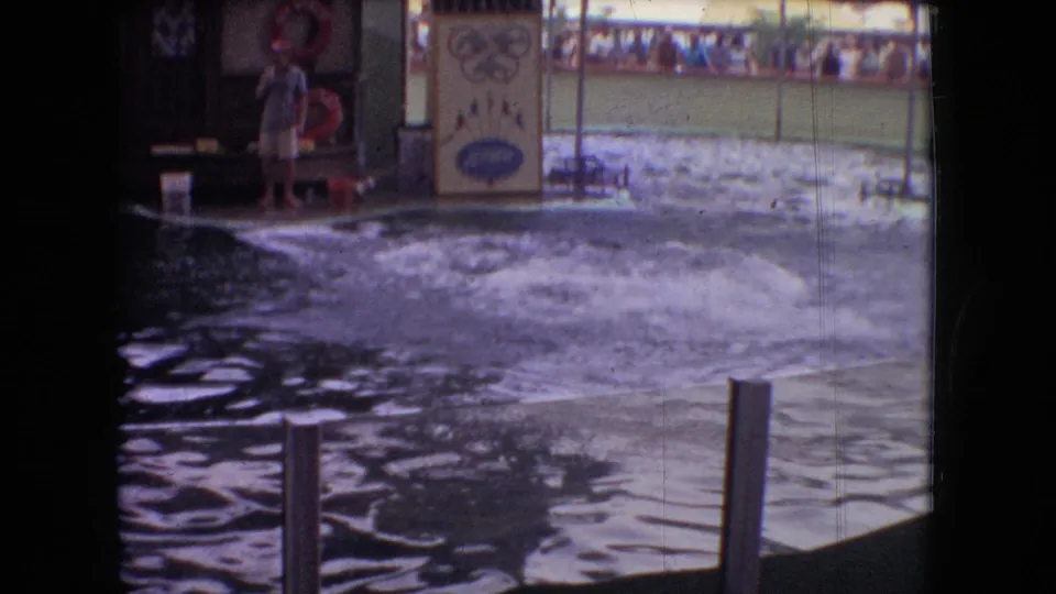 1966 Ohio home-movie frame showing a broad splash across the dolphin show pool, with the trainer still on the platform and the attraction sign and viewing area in the background.
