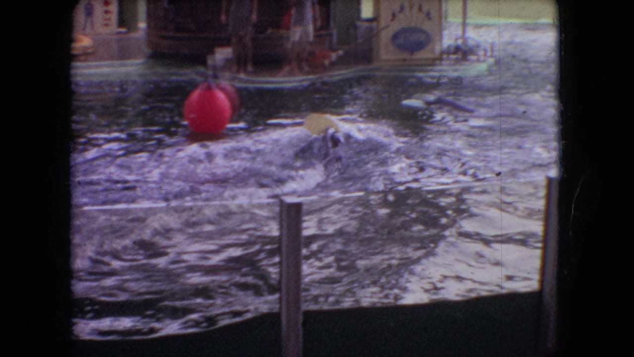 1966 Ohio 8mm frame showing a dolphin surfacing in a marine park pool near a red buoy, with deck structures, signage, and a barrier in the background.