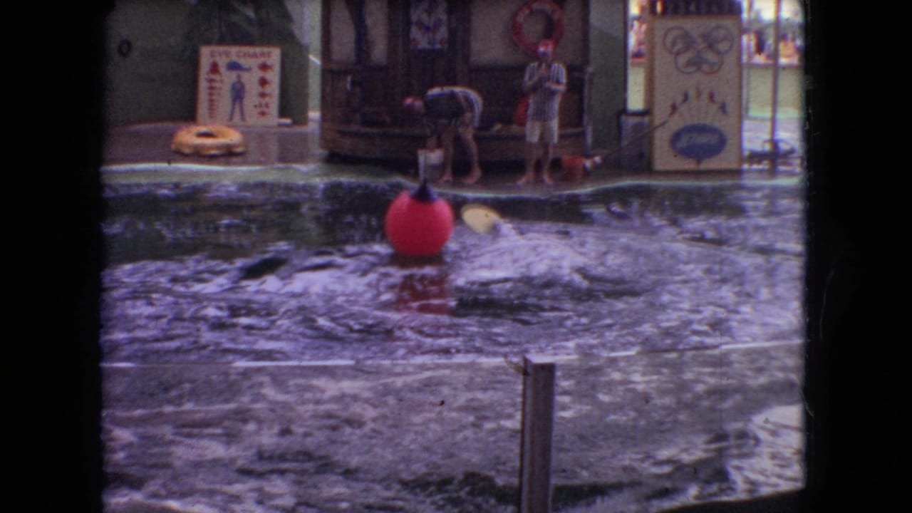 Dolphin splashes beside a red buoy while trainers stand on the pool deck.