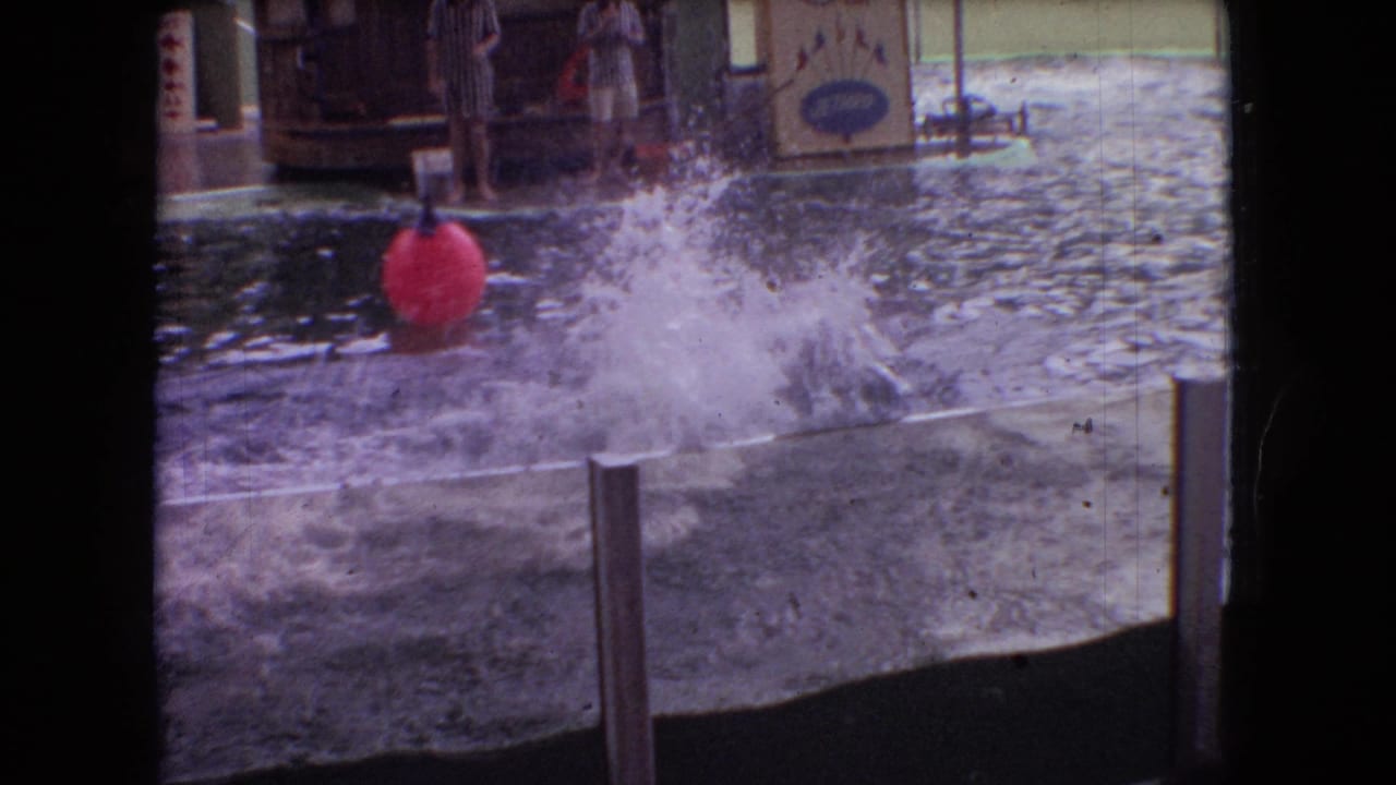 Large water splash beside a red buoy in a dolphin pool enclosure.