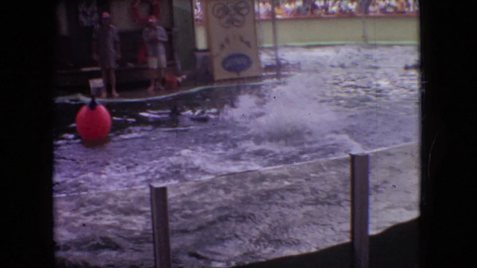 Visitor-shot 1966 Ohio frame of a dolphin splashing in a pool enclosure, with a red buoy, barriers, signage, and a person standing near the performance area.