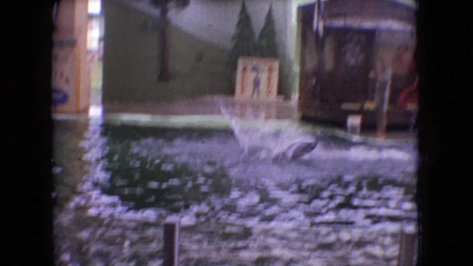 Soft 8mm frame from the 1966 Ohio clip showing a dolphin splash near the pool edge, with deck structures, signs, and dark scanned-film borders visible.