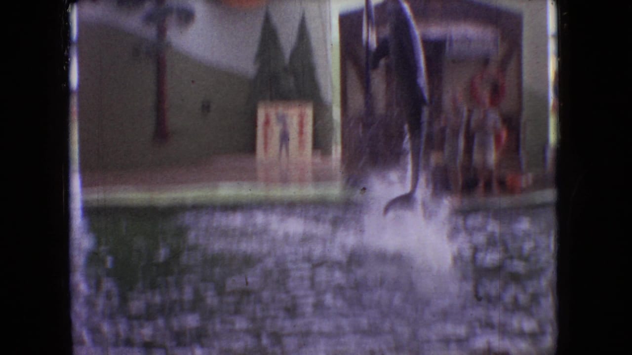 Large splash in the pool beside a themed dolphin show backdrop.