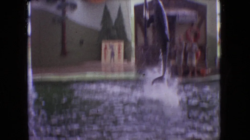A dolphin has just hit the water or passed through the frame, sending a large splash across the pool in front of the painted show set.
