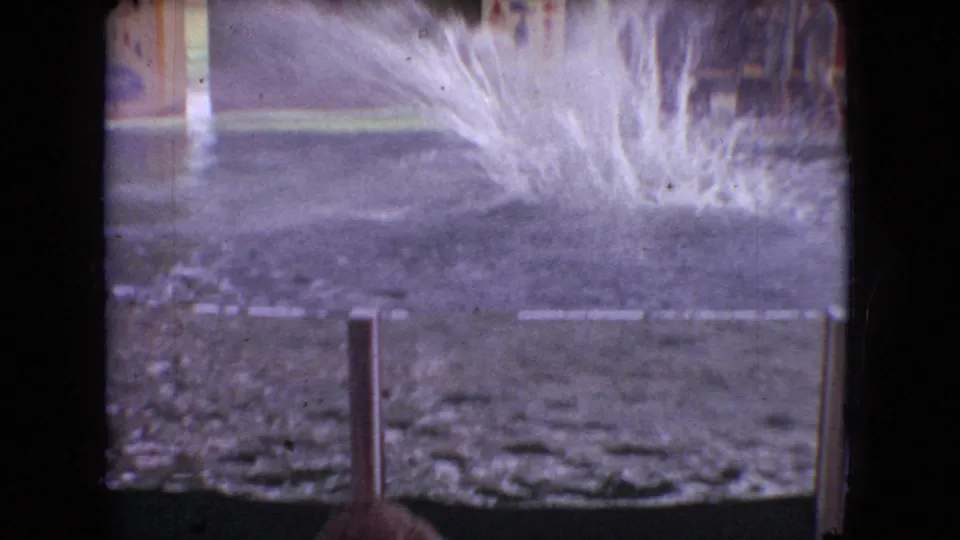 The pool surface is covered by a broad spray pattern from the dolphin performance, with the lower stage and backdrop partly visible above the waterline.
