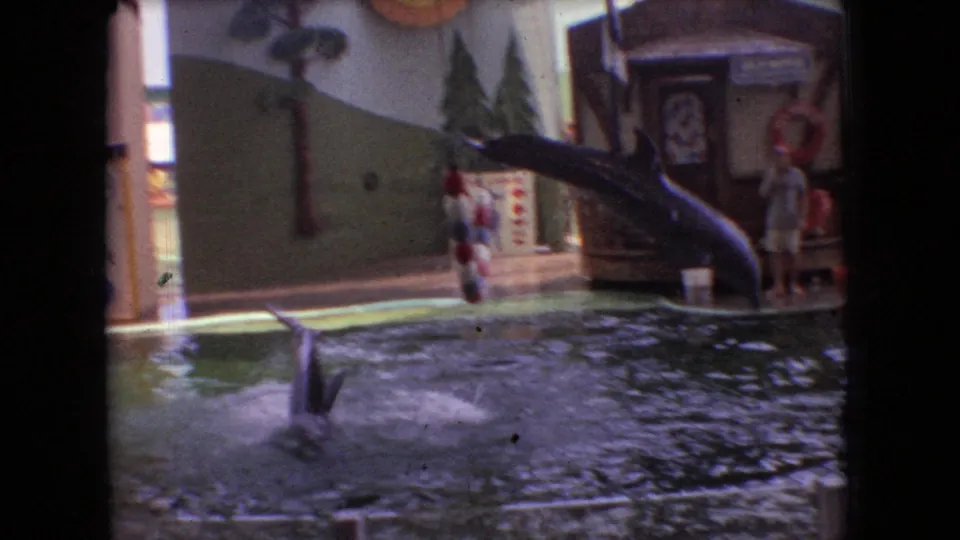 1966 Ohio home-movie frame showing a dolphin stretched in midair above the pool, with a trainer or performer standing near the themed stage set.