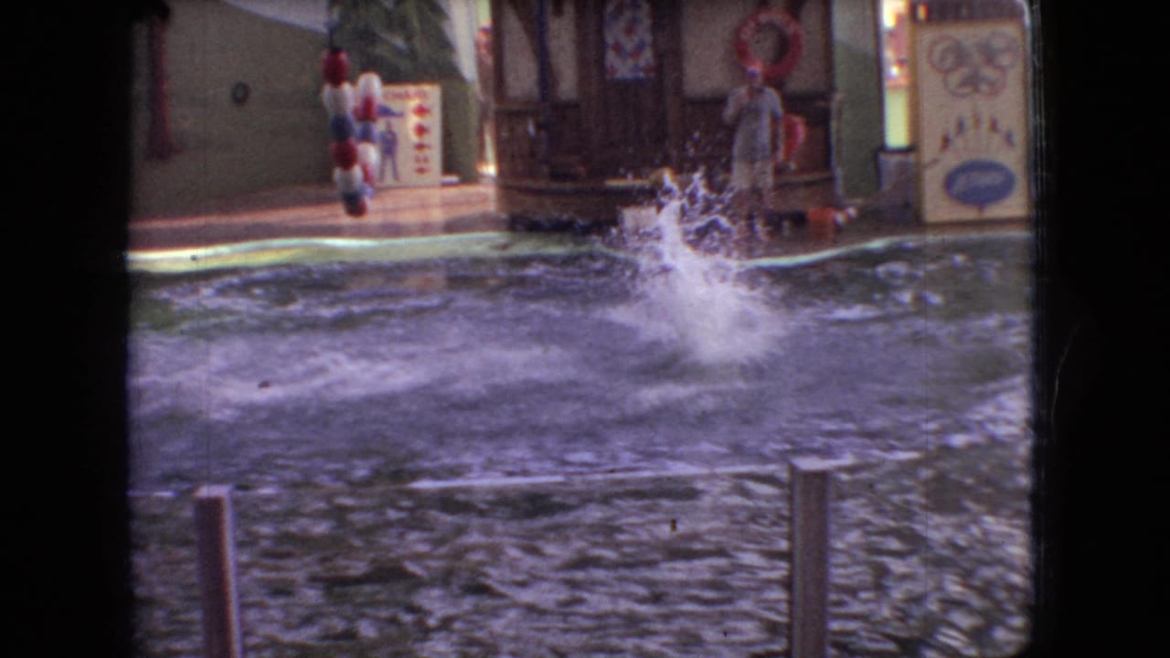 1966 Ohio 8mm frame showing a dolphin splash in a greenish show pool, with painted attraction panels, rail posts, and a trainer area in the background.