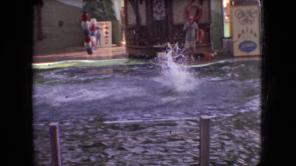 1966 Ohio 8mm frame showing a dolphin splash in a greenish show pool, with painted attraction panels, rail posts, and a trainer area in the background.