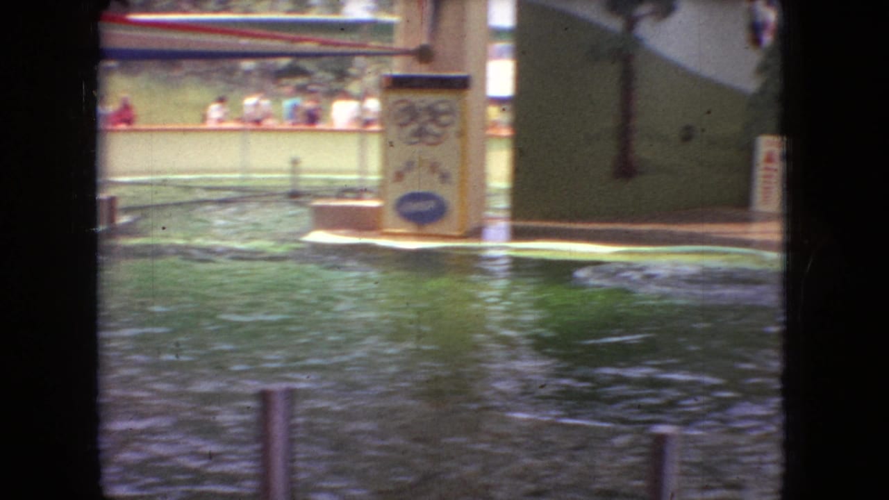 Show pool with rippling water, painted panels, and a dolphin near the right edge.