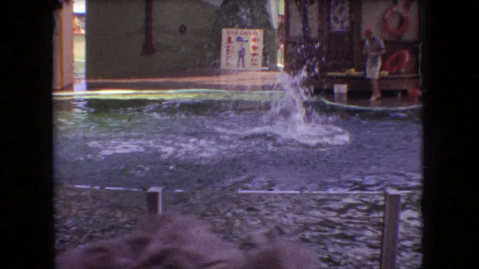 1966 Ohio home-movie frame showing a dolphin splash in the pool beside a small platform, with a trainer standing near painted aquatic show scenery.