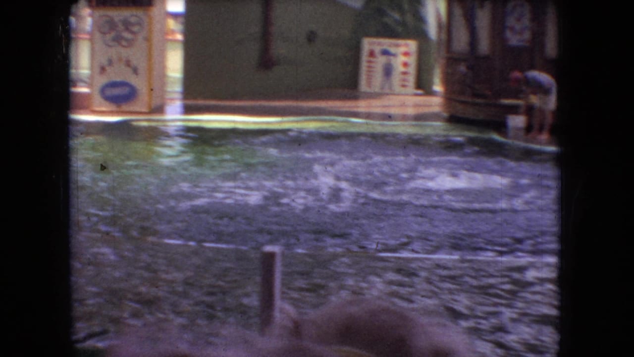 A dolphin splashes in a pool during a 1966 Ohio water-park performance, with show platforms, railings, and signage visible in the background.