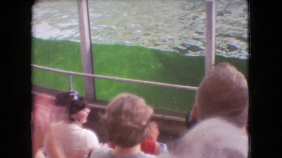 Spectators, including adults seen from behind and in profile, watch the dolphin pool from behind railings in the supplied 1966 Ohio home-movie footage.