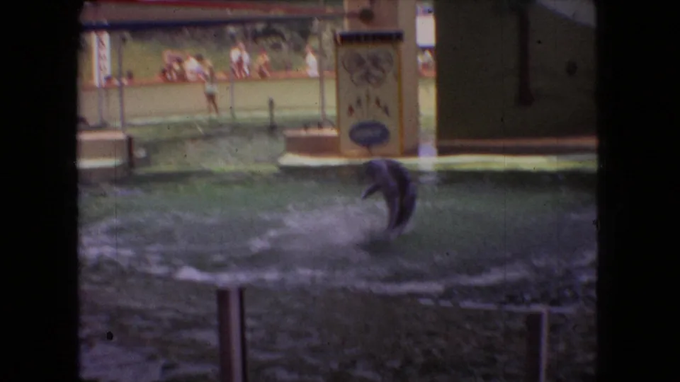 A dolphin leaps from the water during the 1966 Ohio show, with a poolside person, spectators, platforms, and signage visible beyond the splash.
