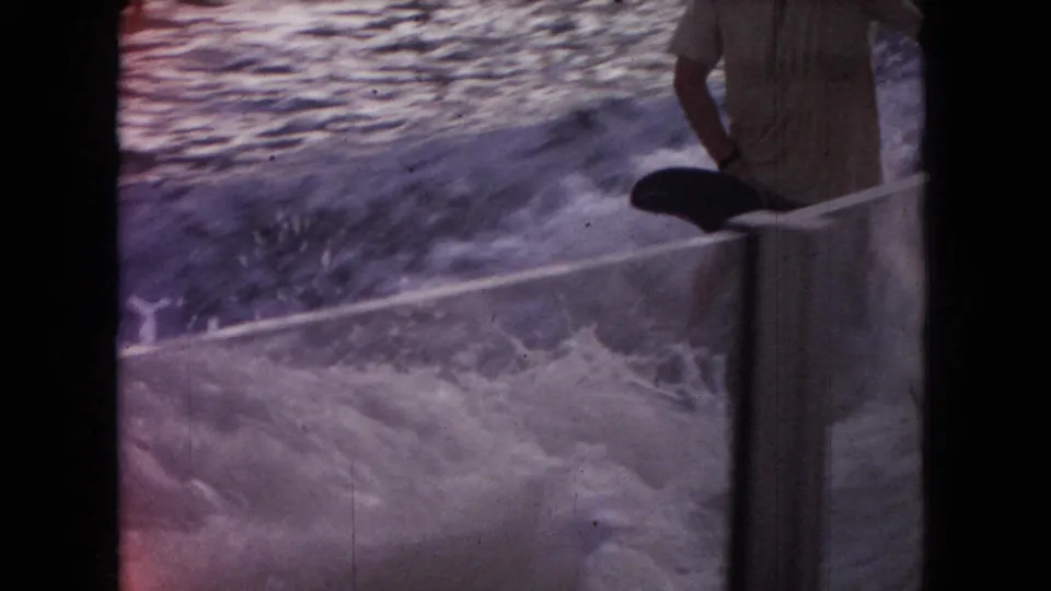 The rider appears seated on a dark mechanical whale form inside the water tank, with white spray, rippling water, and a vertical support in the foreground.