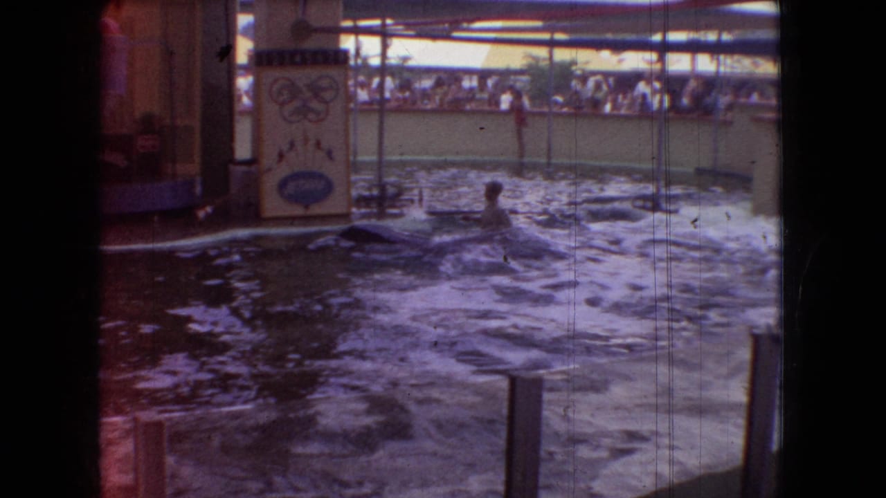 1966 Ohio home-movie frame showing an aquarium performance pool with a person in the water, spectators beyond the barrier, and painted show signage at the pool edge.