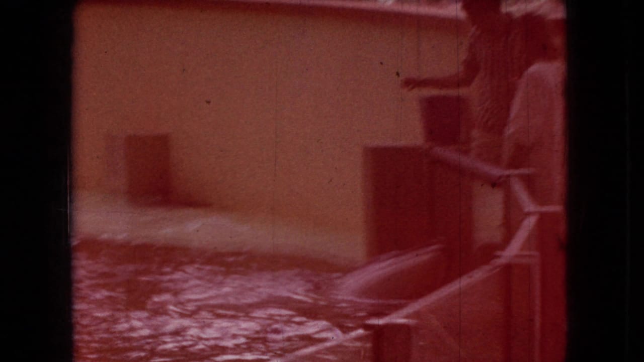 Red-tinted 1966 Ohio aquarium-show frame with pool water, a simple platform or wall area, and a person standing near the right edge of the scene.