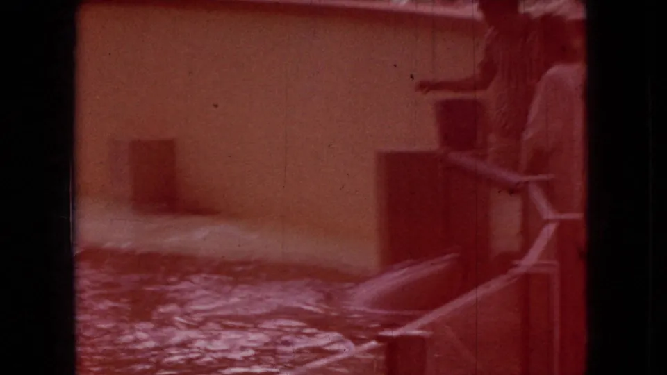 Red-tinted 1966 Ohio aquarium-show frame with pool water, a simple platform or wall area, and a person standing near the right edge of the scene.