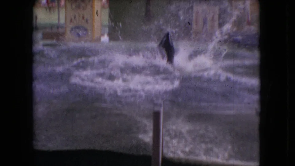 The marine mammal is partly visible amid heavy spray as it drops back into the aquarium pool, with the audience-facing backdrop and railings behind it.