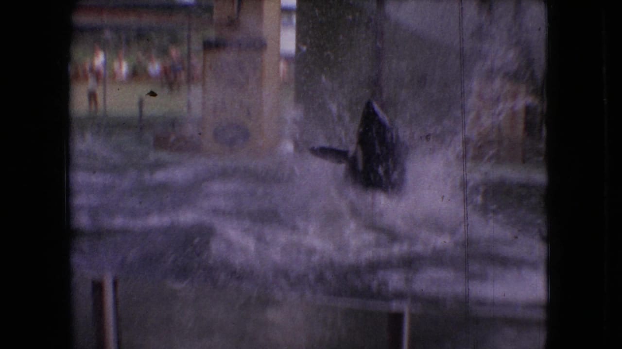 Dolphin jumps through spray in front of a painted attraction set and pool edge.