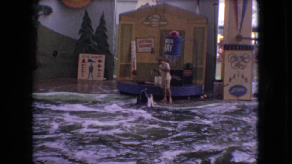 In the final frame, the dolphin surfaces near the edge of the pool beside a small stage set, with a standing person, signs, painted scenery, and attraction structures visible.