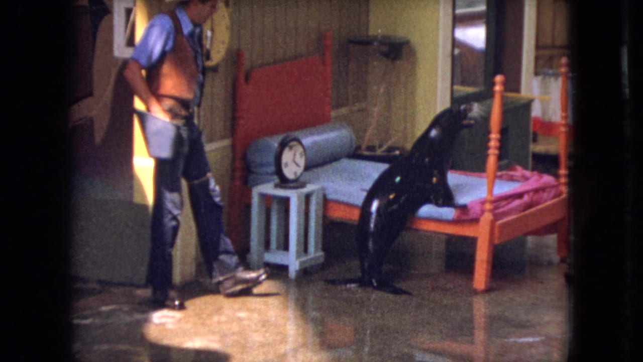 In 1966 Ohio 8mm home-movie footage, a man in a cowboy hat and vest stands near a black sea lion positioned beside a small red bed with a blue mattress and an analog clock on a side table.
