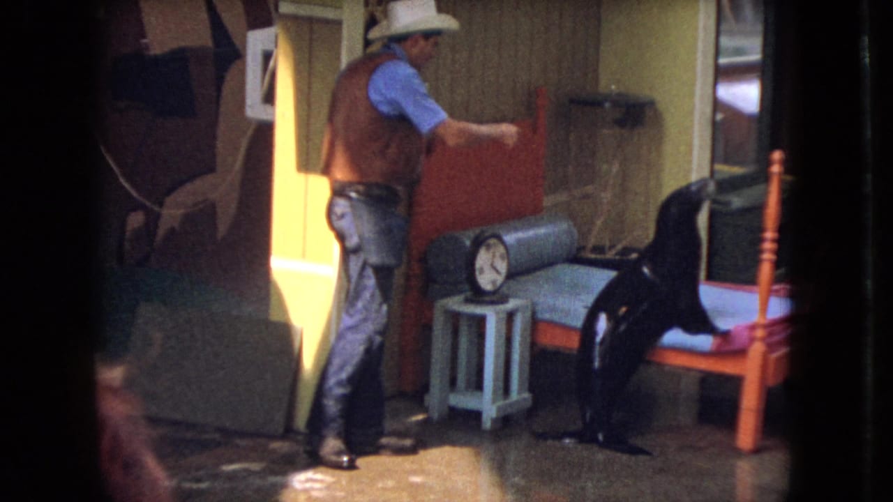 In the Ohio 1966 home-movie frame, the cowboy-hatted man reaches or gestures toward the paneled wall while the black sea lion remains near the small bed, side table, and clock.