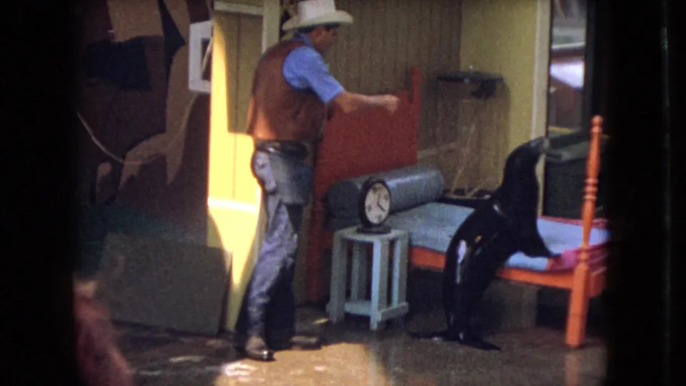 In the Ohio 1966 home-movie frame, the cowboy-hatted man reaches or gestures toward the paneled wall while the black sea lion remains near the small bed, side table, and clock.