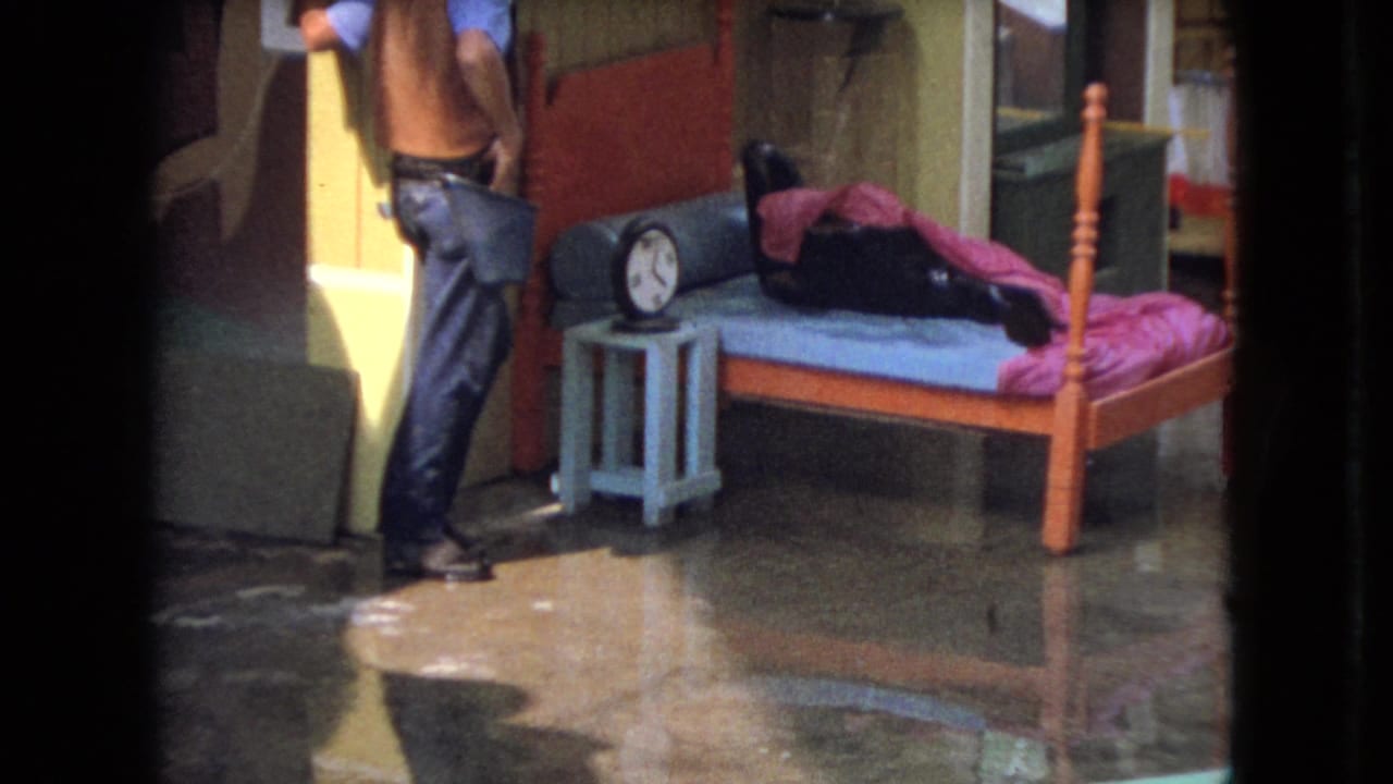 Seal lies on a bed under a pink blanket while a man stands nearby.