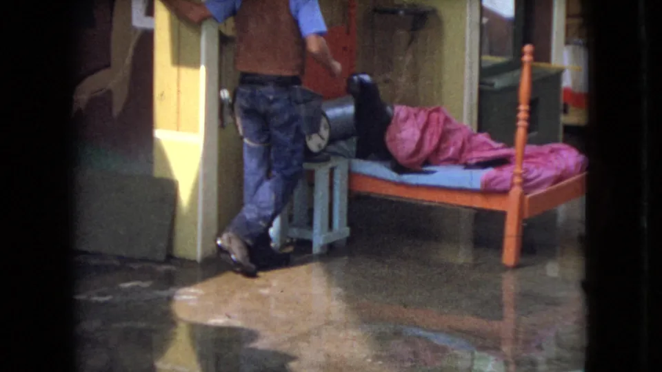 A man in western-style clothing leans near the bed as the seal lies under a pink blanket, with wet flooring and attraction-style set pieces visible.