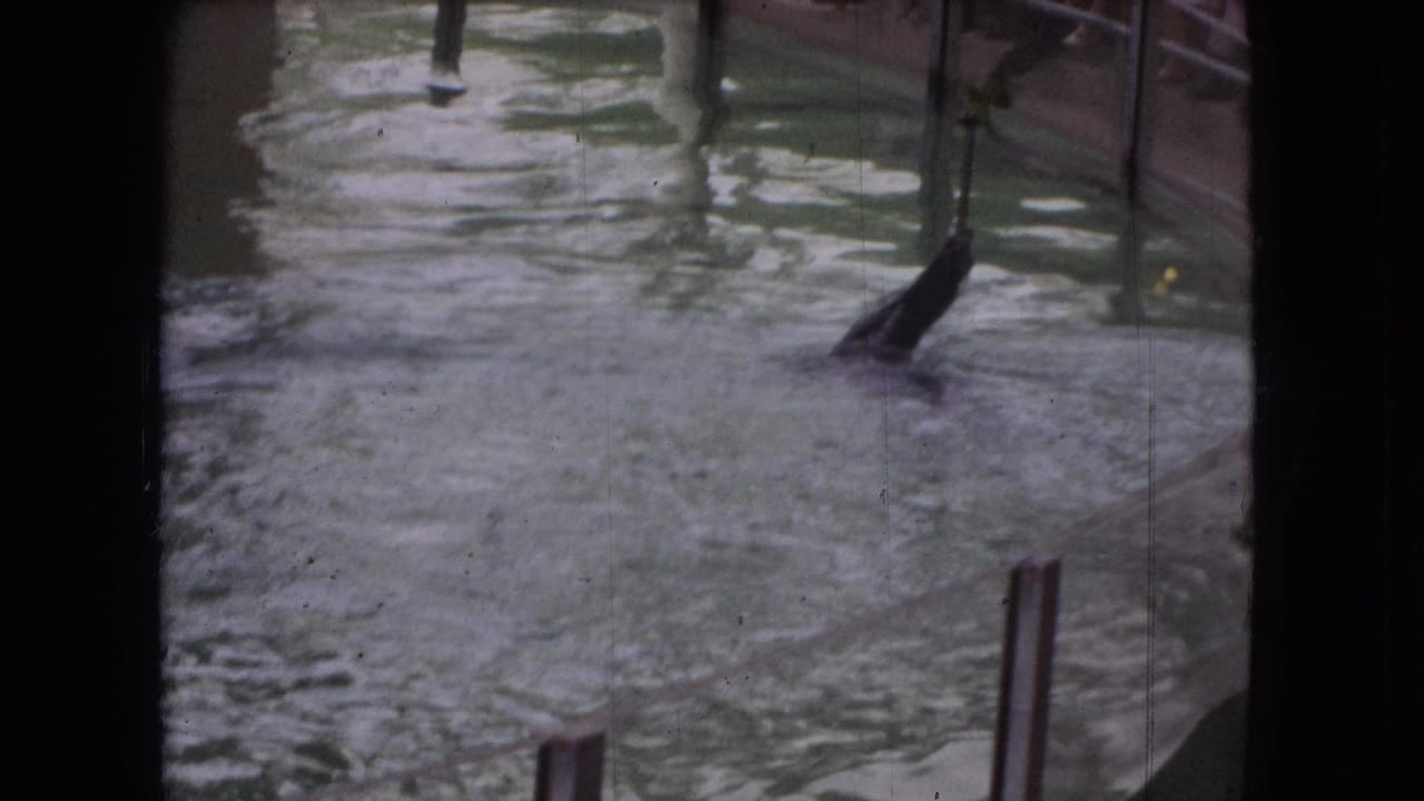 1966 Ohio 8mm frame showing green-tinted pool water, railings, posts, and dark surrounding edges from a spectator viewpoint.