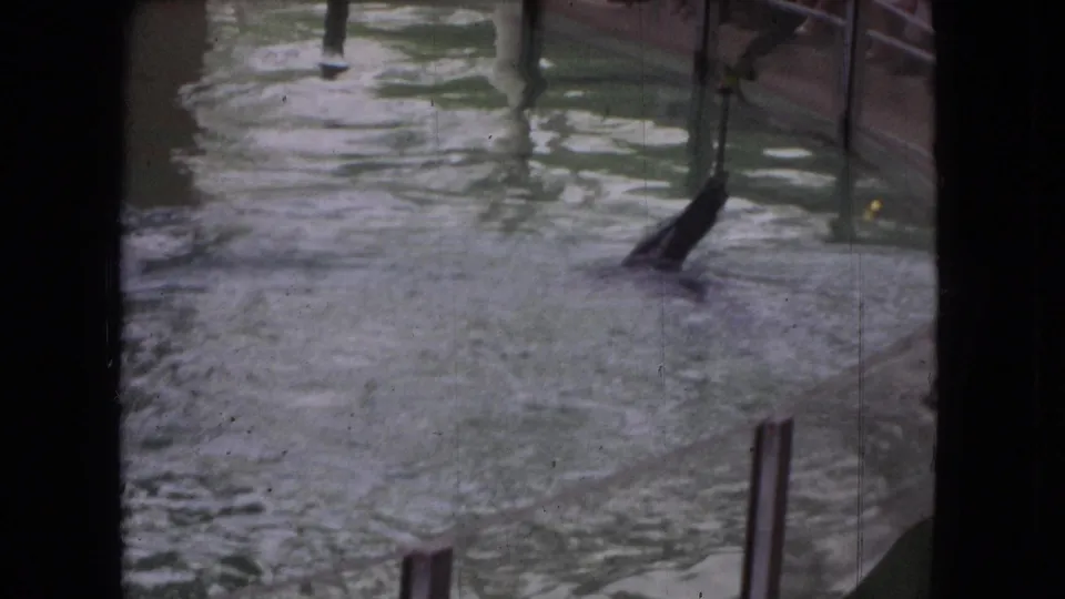 1966 Ohio 8mm frame showing green-tinted pool water, railings, posts, and dark surrounding edges from a spectator viewpoint.