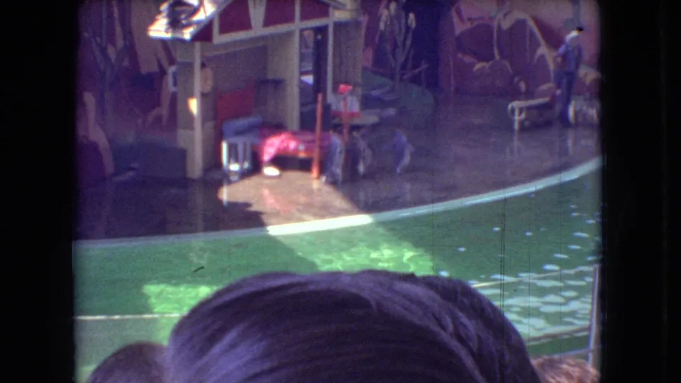 1966 Ohio home-movie frame of a penguin show area with green pool water, painted scenic structures, a man standing at the right side of the set, and spectators visible below.