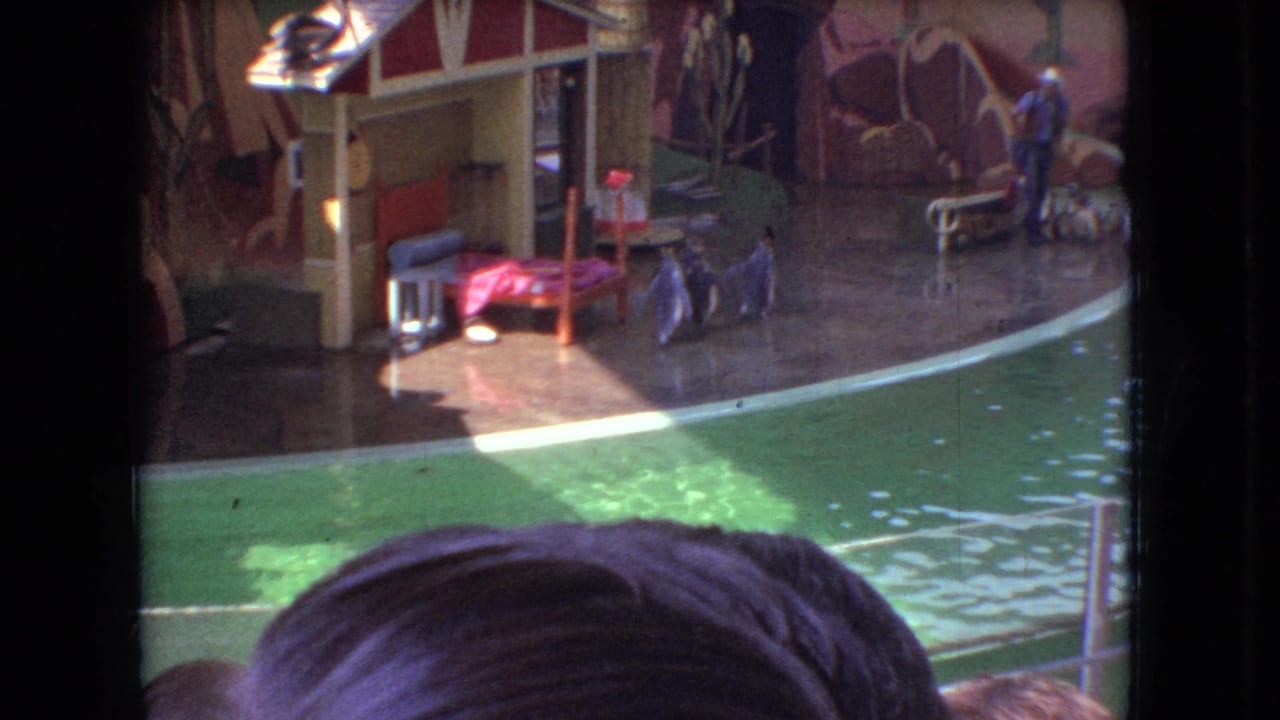 1966 Ohio home-movie frame showing a zookeeper near a zoo pool with penguins on the platform, viewed from behind audience heads.
