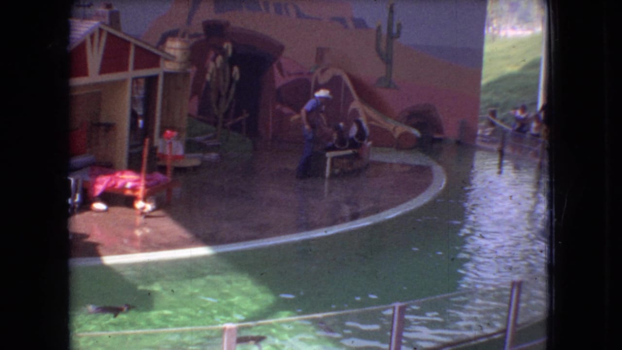 1966 Ohio 8mm frame with a visitor-shot view of penguins by a presenter in a cowboy hat beside a themed water-show pool and painted backdrop.