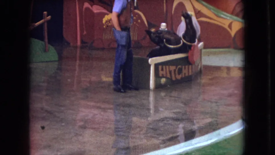 1966 Ohio 8mm frame with the presenter beside a small performing animal and penguin on the HITCHHIKERS platform within a painted water-show set.