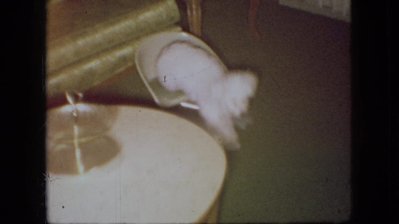 The puppy appears to lean or tumble from a green upholstered chair toward a round table inside the private 1966 Ohio home setting.