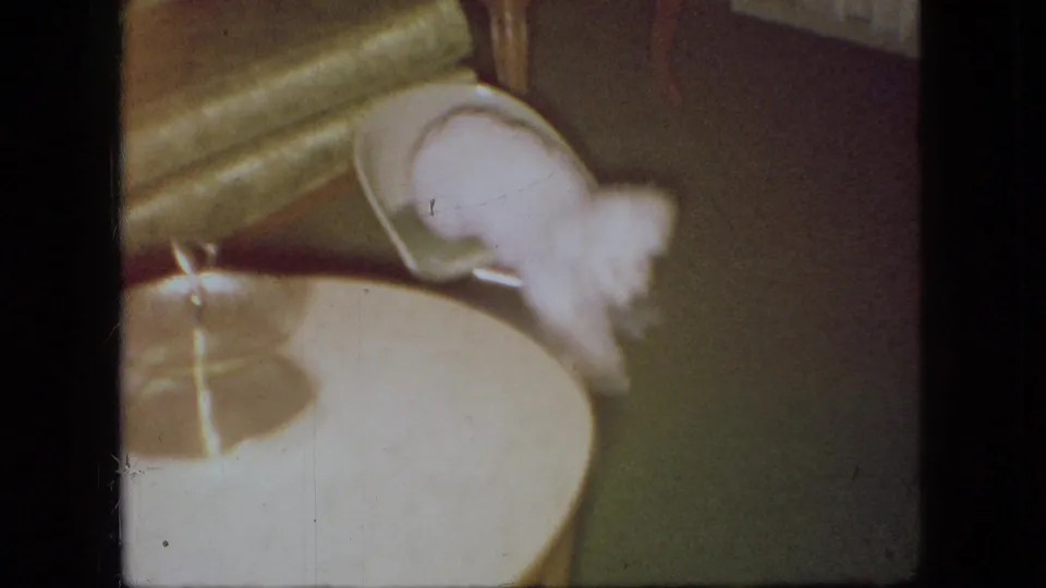 The puppy appears to lean or tumble from a green upholstered chair toward a round table inside the private 1966 Ohio home setting.