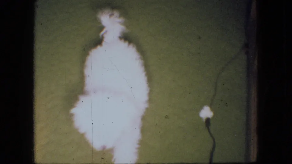 The white puppy is now on the carpeted floor, seen from above in soft, grainy 8mm footage from the Ohio home interior.