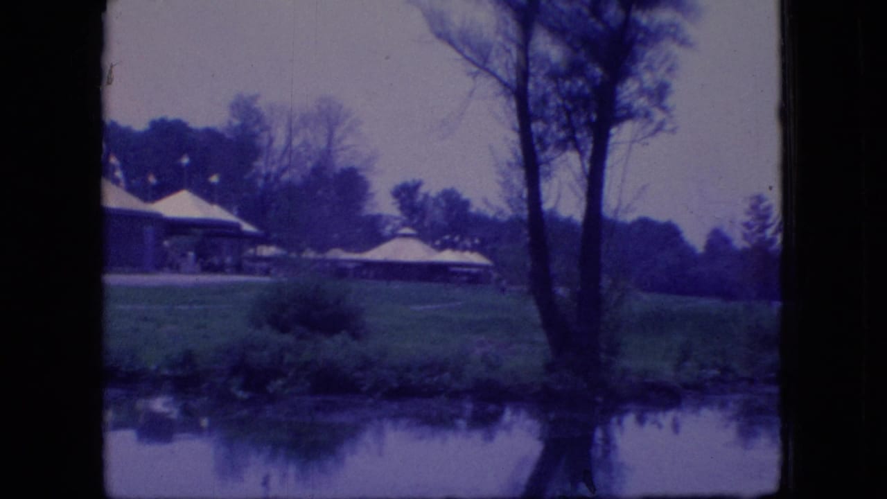 Park shelters and trees reflected in still water along a grassy shoreline.