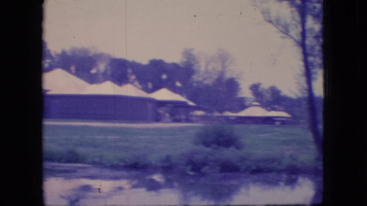 Lakeside pavilion with light roof beside a calm lake and grassy shore.