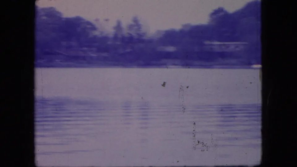 1966 Ohio 8mm frame showing pale calm lake water below a soft, dark tree-lined shore, with aged-film scratches and blue-purple color shift.