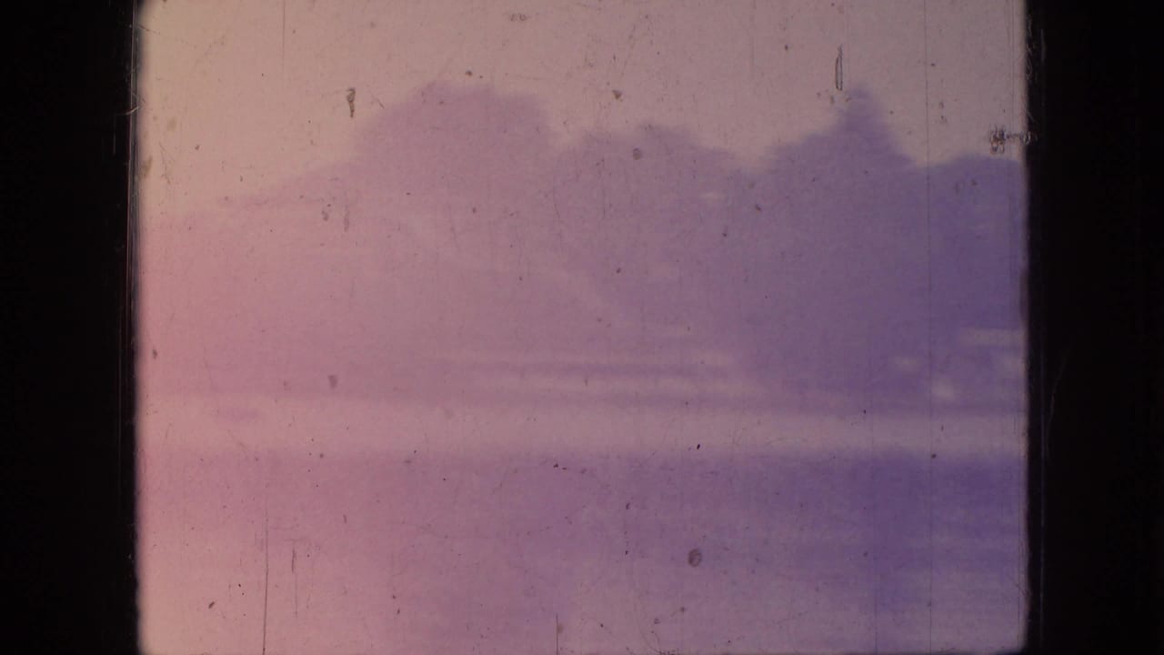 Soft pink and purple view across water toward a blurred wooded shoreline.