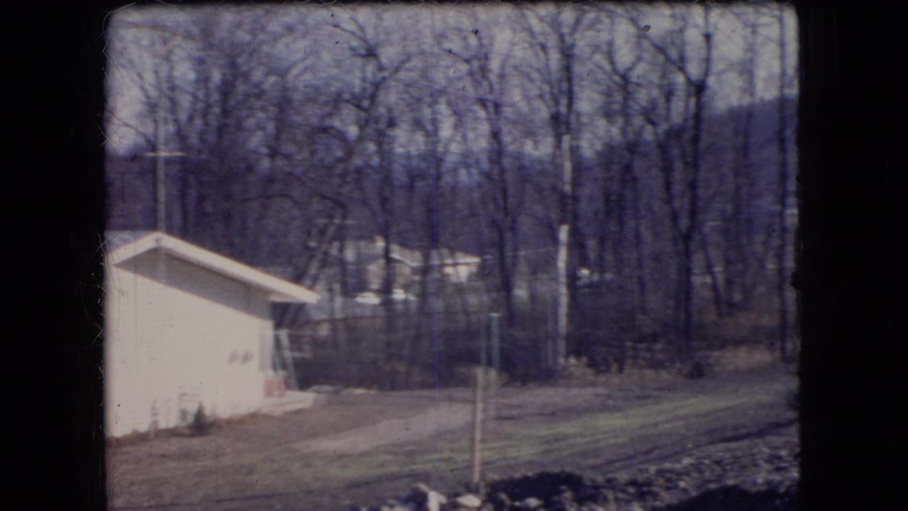 House side wall and driveway seen from a moving vehicle.