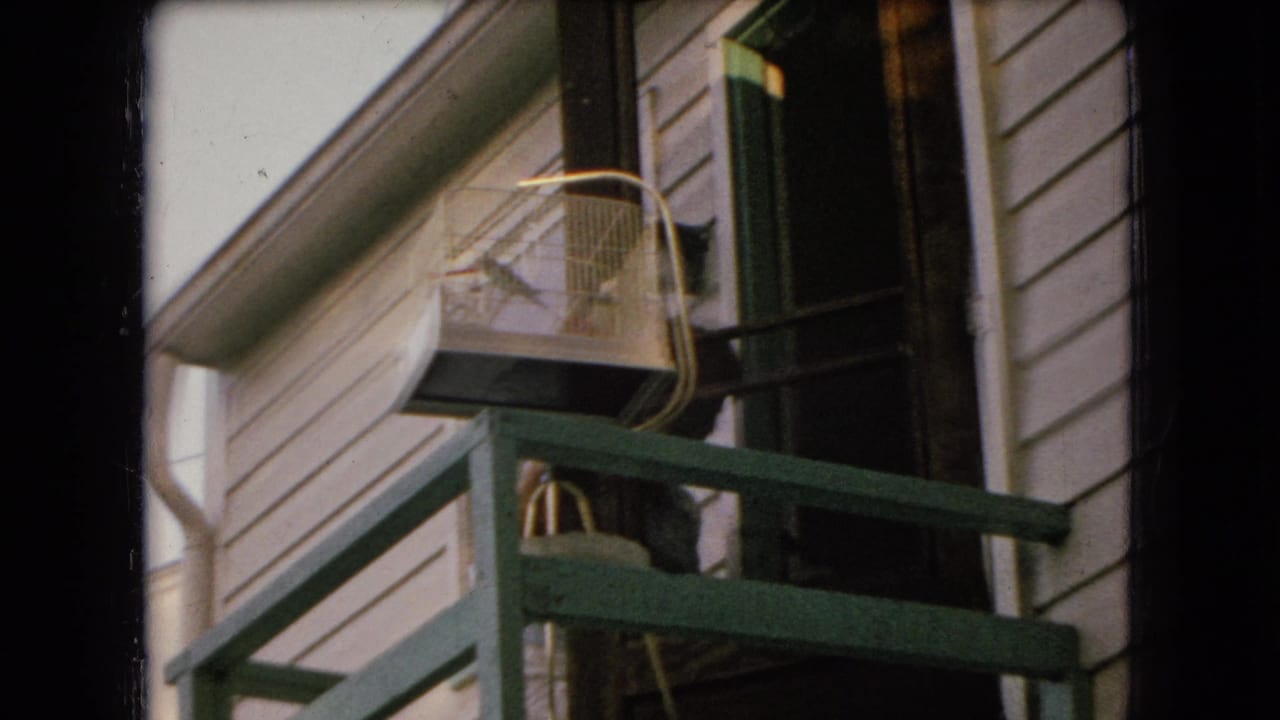 Back porch with green railings, open door, and birdcage near the house.