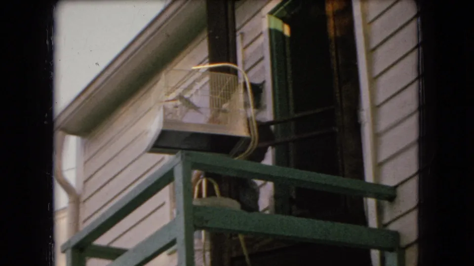 1966 Ohio home-movie frame showing the rear porch of a white-sided house with green railings, an open doorway, and a birdcage with birds nearby.