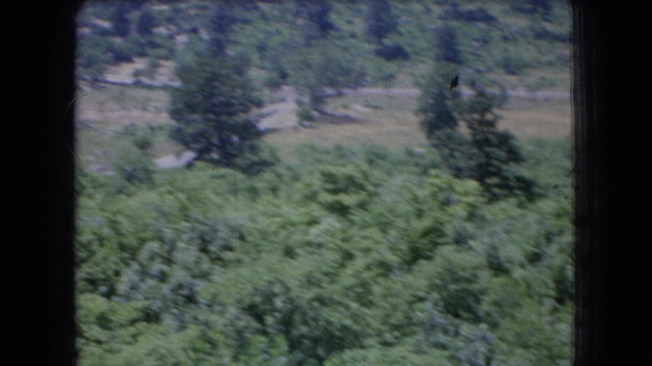 1966 Ohio 8mm frame showing a wooded hillside with dense summer foliage, soft focus, and a pale path or clearing in the background.