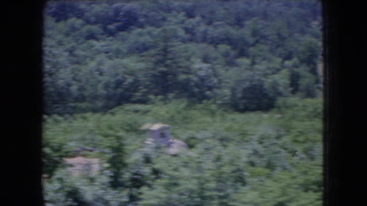 Green hillside with trees, brush, and a pale stone or marker near a path.