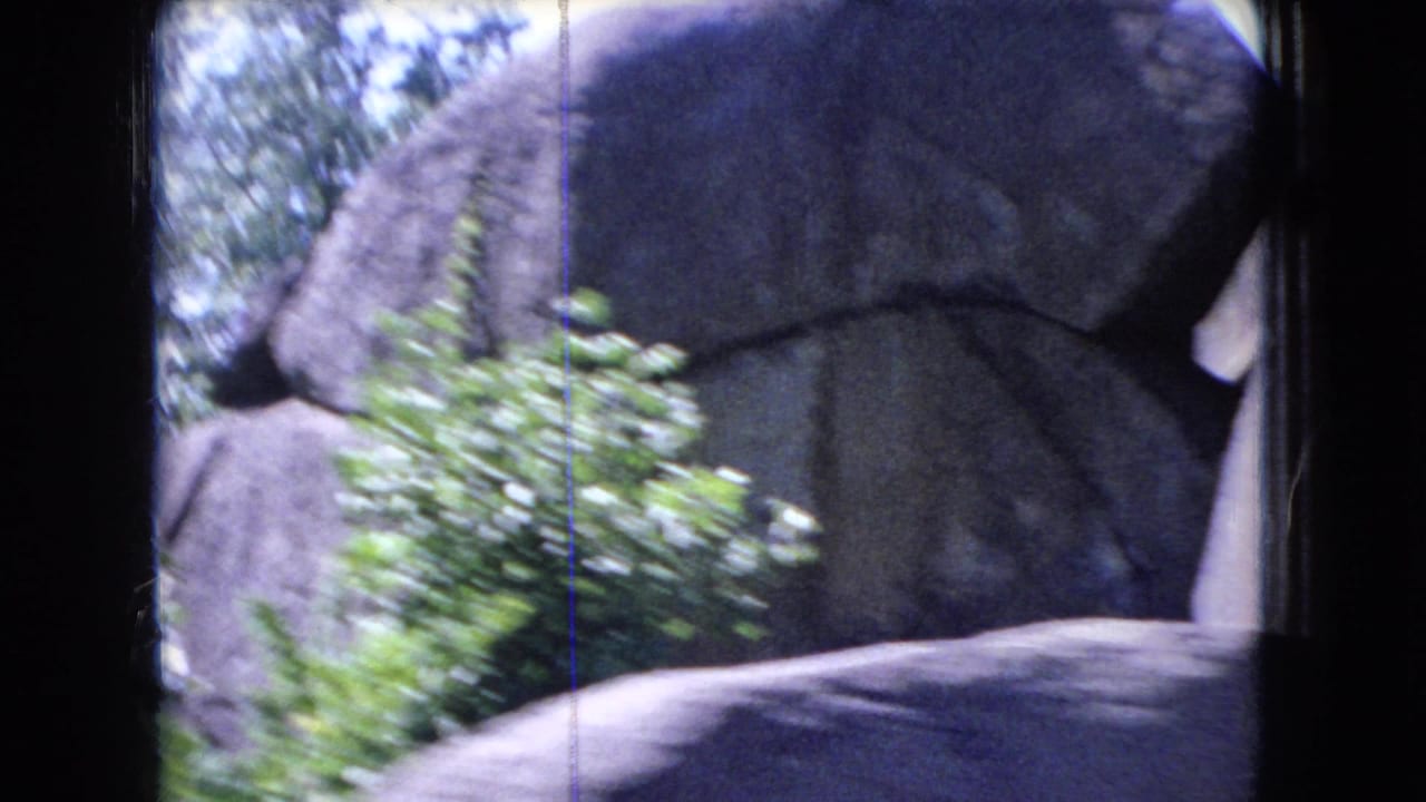 1966 Ohio 8mm frame showing a large gray rock outcrop, leafy brush, and a dark car-window edge during a moving roadside view.